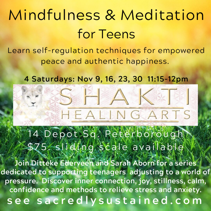 Mindfulness-Meditation-for-Teens-1